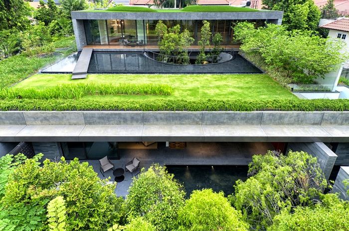 Green Roof Construction