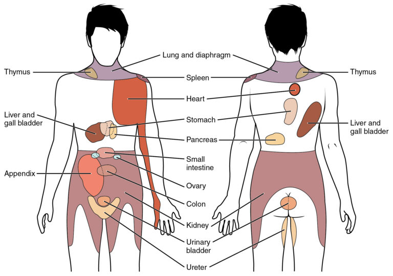 Understanding Radiating Pain